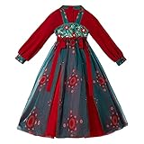 AINIFU Fairy Hanfu Dresses Chinese Style Noble Princess Dresses Performance Costumes Dance Skirt for Girl 4-16 Years Red