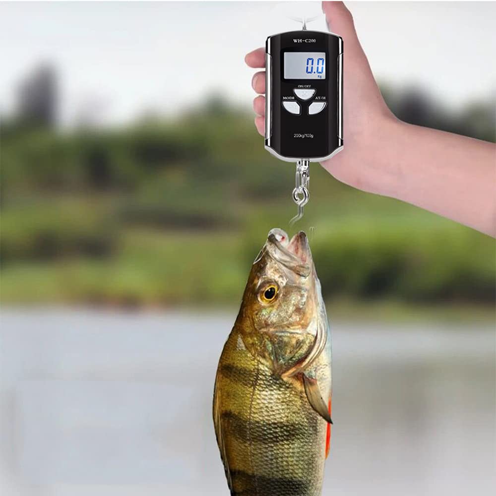Bilancia digitale sospesa e bilancia portatile da gru per pesatura commerciale - Capacità massima 200 kg 440 lb con risoluzione 100 g - Display LCD retroilluminato e gancio in