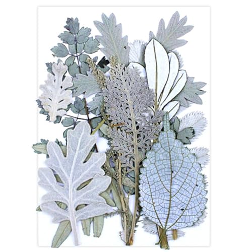 Kit de Hojas y Flores Secas para Arte Manual miniatura 1