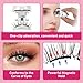 Magnetic Eyelashes Soft Magnetic Lashes With Applicator,3s Application 1s Removal No Glue Needed Long Lasting and Reusable Soft Magnet Lashes Waterproof Cruelty Easy To Wear (1Pair,Frisky)