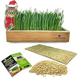 Self-Watering Cat Grass Kit. Hands Down The Easiest Way to Grow Cat Grass. Includes Everything for a Big, Healthy Crop.