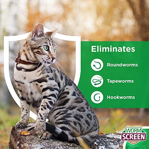 WORM SCREEN Cat (2 tablets): Cat Worming Treatment - Veterinary Licensed Dewormer for Cats and Kittens from 6 weeks old - Kills Roundworms, Hookworms and Tapeworms.