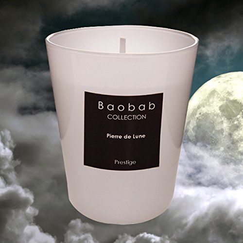 Baobab MAX16PIL Pierre de Lune Candle Candle Wax – 16 x 10 x 16 cm