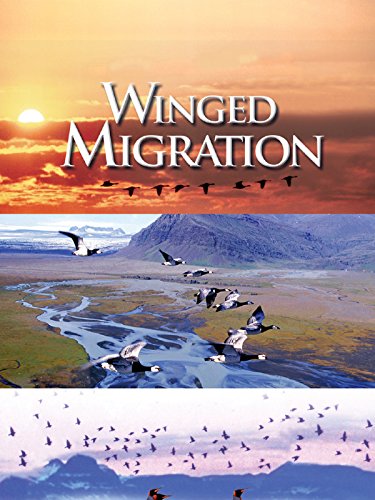 Winged Migration