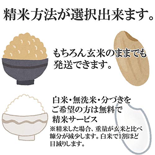 利用はカンタン Jaなどの無人コイン精米機 クボタ ヤンマー の使い方とコツ 初心者必見 生活情報しぼりたて