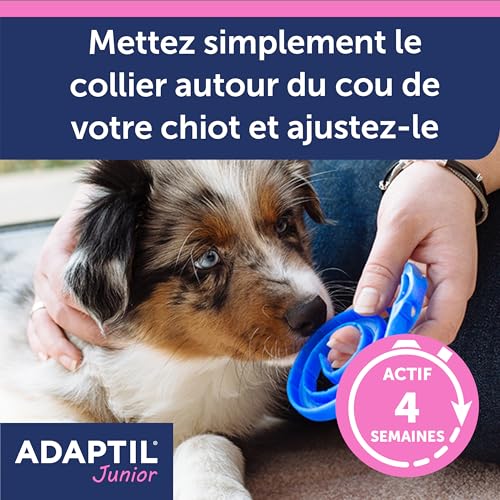 CEVA Adaptil Halsband Junior für Hunde 46,5 cm
