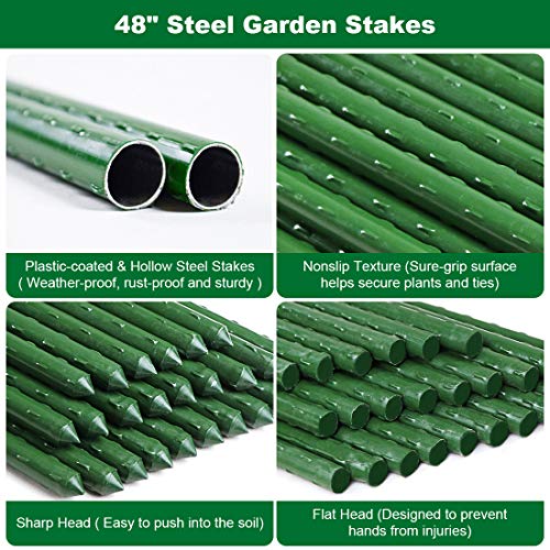 SEKKVY Garden Stakes 48 Inches Sturdy Plastic Coated Steel Plant Sticks Support for Securing Trees, Natural Climbing Plants, Shrubs (25 Pack - 48 Inches, Green) - Thumbnail 3
