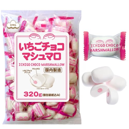 GC p `R}V} 360g  e ppbN Ɩp `R[g `R }V} C`S zp ii VFApbN (1)