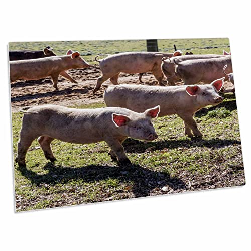 3dRose Italy Sardinia Gavoi Mausepad Grande Rectangular