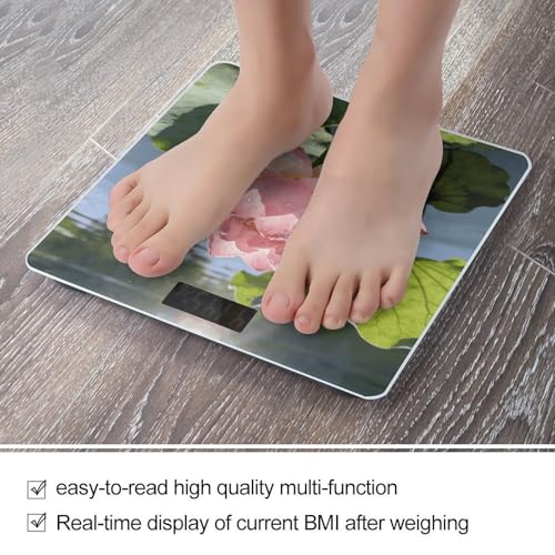 Báscula digital de baño inteligente con vidrio templado miniatura 5