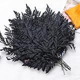 Fern Preserved Black Ferns, 10 PCS Dried Boston Fern with Stems, 15'' Real Leaves for Dried Flowers Arrangements Wedding Garland Bouquets Home Party Centerpiece Table Decorations Vase Filler