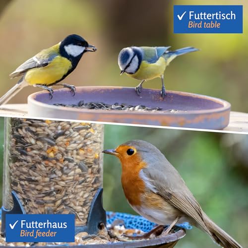 Leimüller Vogelfutter Wildvögel Ganzjährig 10kg (Classic) - Österreichisches Wildvogelfutter Ganzjahresfutter - Hochwertiges Streufutter Staubfrei & ohne Zusatzstoffe