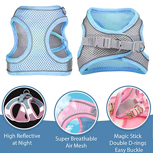 Petpubgnzs Soft Small Dog Harness And Leash Set Step In Air Mesh Puppy Harness Leash Easy Walk Dog Harness Vest Adjustable Reflective No Pull Dog Harnesses For Small Dogs Cats (Blue Grey,Xs) #TOP2