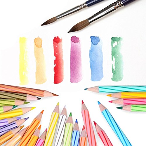 Staedtler Luna Watercolor Pencil (Pack Of 12)|Multicolor 1