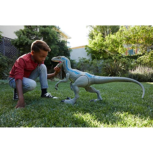Jurassic World Dominion Super Colossal Atrociraptor Action Figure, Extra Large Dinosaur Toy 37 Inches, Movable Joints & Stomach Release, 4 Years+ & Jurassic World Super Colossal Velociraptor Blue #TOP5