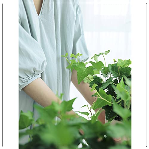 Hccy Fake Ivy Plants 10.6" With Leaves Artificial Plants Decorative For Home Decor Faux Plants In Pot 1 Pcak #TOP1