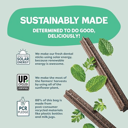 Image of Shameless Pets Triple Mint Dental Chews for Dogs, 8 Chews - Natural Dog Teeth Cleaning Treats with Fresh Breath Benefits | Grain-Free Dental Sticks for Small, Medium & Large Dogs