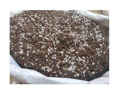 Substrato Turfa e Perlita 70/30 Sphagnotec - 50 Litros - Ideal para Sementes, Mudas, Ervas Medicinai