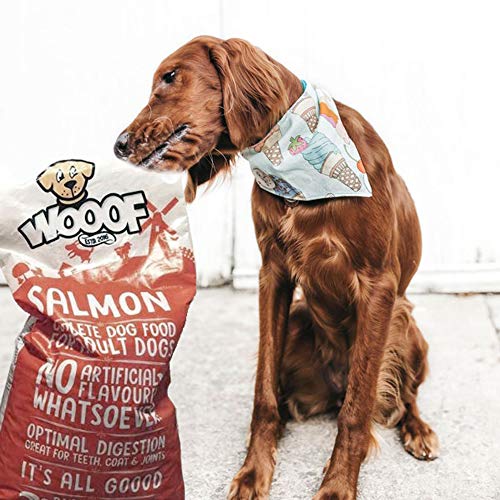 cold pressed dog food 15kg