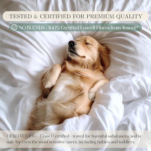 The 11 Best Bed Sheets for Hot Sleepers: My Real-World Testing Results (From a Woman Who's Been There) 11 CASILVA Eucalyptus Sheets - Infused with Silver for Anti-Odor, Softer Than Silk Fibers, More Cooling Than Cotton - Perfect for Hot Sleepers & Sensitive Skin - 100% Tencel Lyocell - Queen Sheet Set