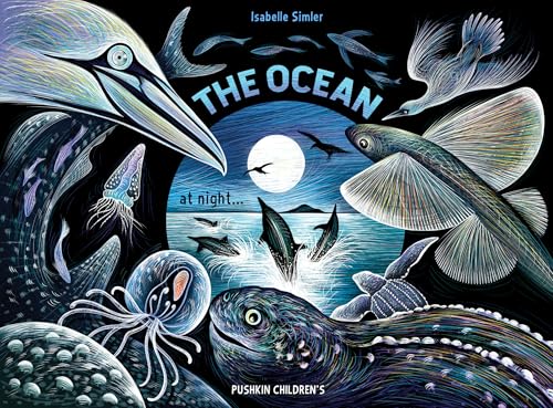 The Ocean at Night (Nature at Night)