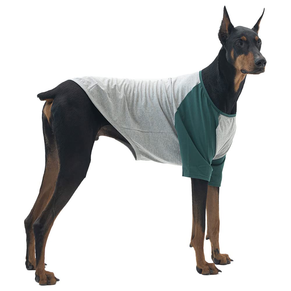 Lucky Petter Dog Shirt for Small and Large Dogs Raglan Cotton T-Shirts Soft Breathable Dog Shirts pet Clothes Gray Series (X-Large, Gray/Green)