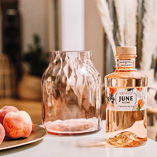 G‘Vine June Wildpfirsich- und Sommerfrucht Geschmack Gin Likör, 700 ml – Bild 4