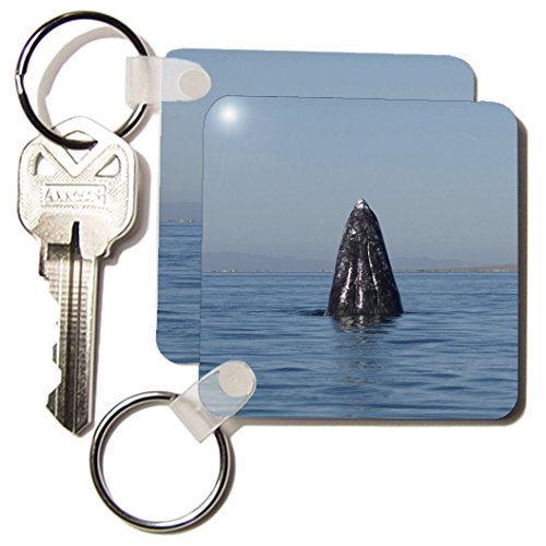 Porte-clés baleine grise 6 cm souvenir du Mexique pour amoureux de nature