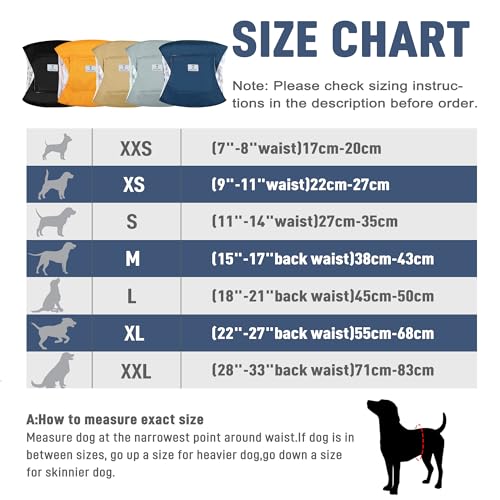 Image of 5 Pack Dog Diapers Male,Reusable Leakproof Pet Soft Dog Belly Band Wraps,Male Dog Diaper High Absorbency,Wider Washable Belly Band for Doggy Incontinence and Puppy Training