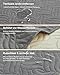 VICBINLY wasserdichte Hundedecke Sofaschutz, Autoschondecke für Haustiere Hundedecke Outdoor Robuste Hundematte als Schutz für Sofa & Bett rutschfeste Unterseite 80 x 60 cm - Grau CTH015G