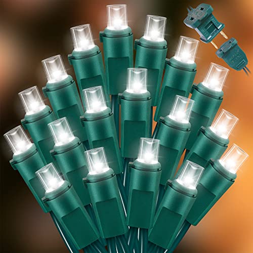 LAMPHOME 100LED Cool White String Lights