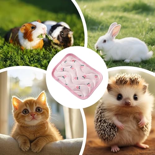 Tapis rafraîchissant pour animaux de compagnie idéal pour l'été - 3