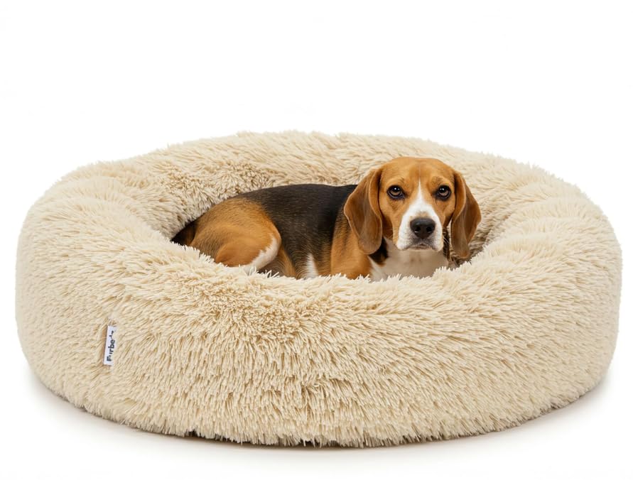 Furbedz Dog Bed for Medium Dogs, Stress Relief Design, Washable Bed with Removable Interchangeable Cover, Ultra-Soft Plush, Internal Lining, Orthopedic Memory Foam Support, Waterproof Base
