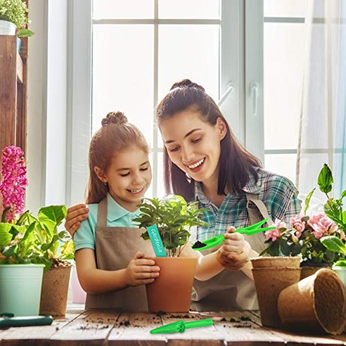 Pacetap 100 Pcs (30Mm) Peat Pellet Seed Starter Soil ,Seedling Soil Block,Germination Soil Blocks,Seed Fertilizer Nutrient Block Compressed Peat Block For Grow Herbs, Plant,Flowers,Vegetables (30Mm) #TOP6