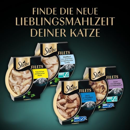 SHEBA Filets Adult Katzenfutter in Sauce mit Huhn und Thunfisch 16 x 60g Schale