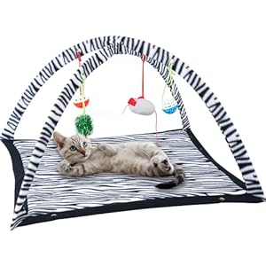 Tofern Katzen Spielmatte mit Spielzeug MXXC-01-1