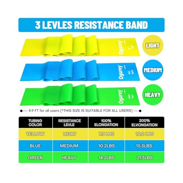Resistance Bands, Professional Exercise Bands, Physical Therapy Bands for Strength Training, Yoga, Pilates, Stretching, Recovery, Stretch Elastic Band for Working Out, Workout Bands for Home Gym - Image 3
