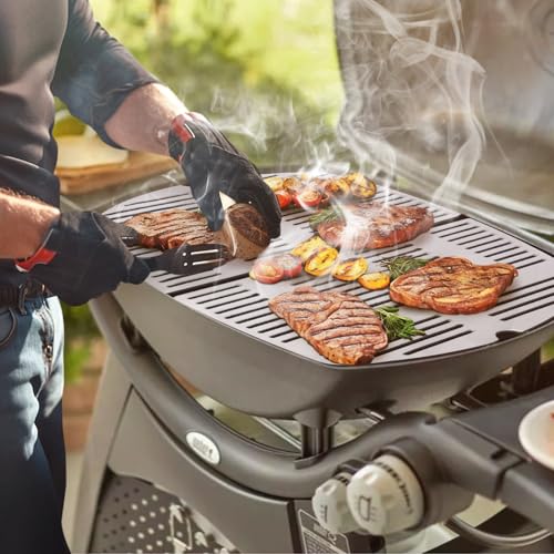 Denmay 7646 Edelstahl Grillroste für Weber Q300, Q320, Q3000, Q3200 Serie, 63,5 x 45,2cm Grillrost Ersatzteile Zubehör 57060001, 586002, 404341 Gasgrills, 2 Stück