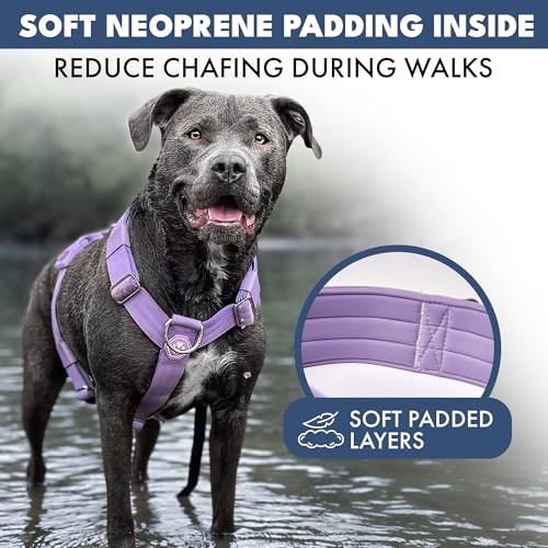 Image of Spark Paws No Pull Dog Harness with Handle for Large Dogs, Heavy Duty Dog Harness for Big Strong Breeds, Adjustable, Y Shaped Padded Halter Design with Front Clip - Lilac - L