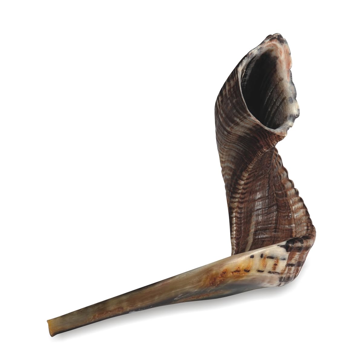 Choffar Taille 6, 45-50 cm