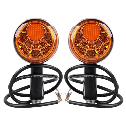 Indicateurs clignotants arrière de moto à LED pour corriger le manque de visibilité Sportster
