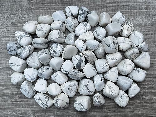 Image of GAF TREASURES 1 /2 LB White Howlite Tumbled Stones, Polished Natural White Howlite Gemstone, White Howlite Healing Crystals (White Howlite)
