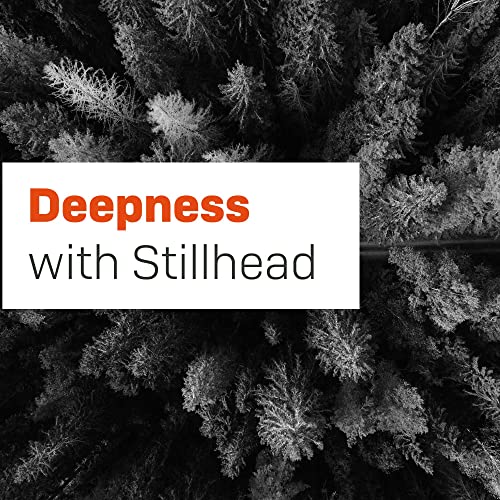 Deepness Podcast Por Stillhead arte de portada