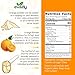 Orange Powder 8 oz, Natural Orange Juice Powder for Baking, Flavoring, Smoothies, Tea