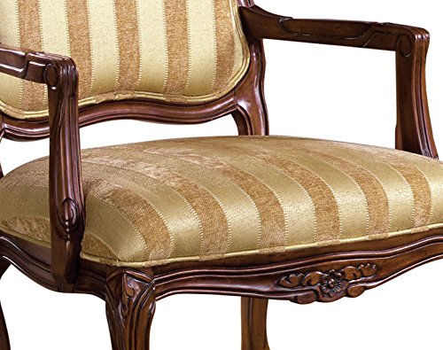 Furniture Of America Fa-Cm-Ac6100 Chair, Multicolor #TOP3