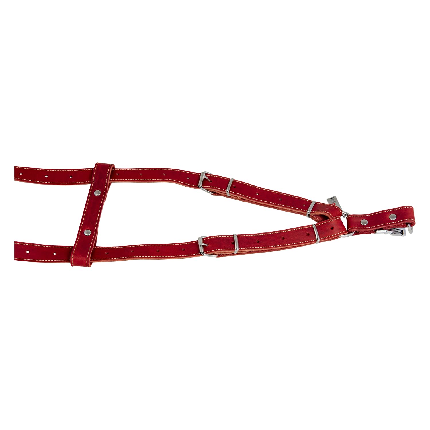 JACK AND VANILLA, Arnés de Piel Resistente Rojo para Perro, Ajustable de 65 a 90 cm, Ancho 25 mm, diseño Elegante y Seguridad óptima para Tus Paseos, Modelo de Piel