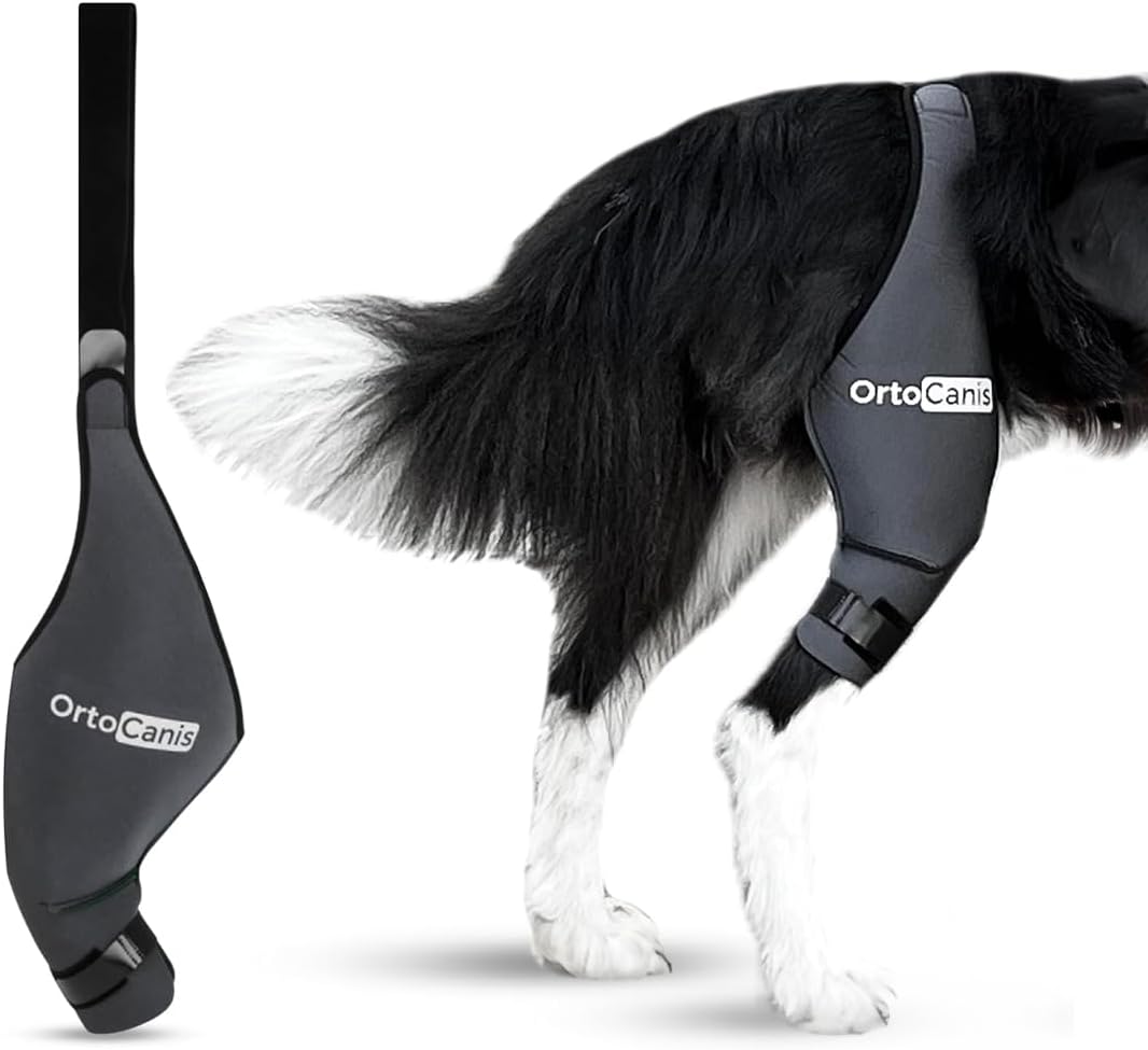 Dog Knee Brace - For Left Hind Leg - Made of ARD Neoprene - For ACL Tear, Ligament Injuries, Patellar Luxation or Osteoarthritis - Size X-Large (14,2-16 ")