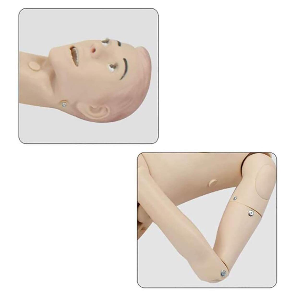 Mannequin Humain de démonstration,Mannequin de Soins Infirmiers d'enseignement de Soins aux Patients en PVC Taille réelle 170Cm pour la Formation médicale en Soins Infirmiers, Homme, Femme