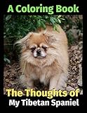 tibetan spaniel salute  The Thoughts of My Tibetan Spaniel: A Coloring Book
