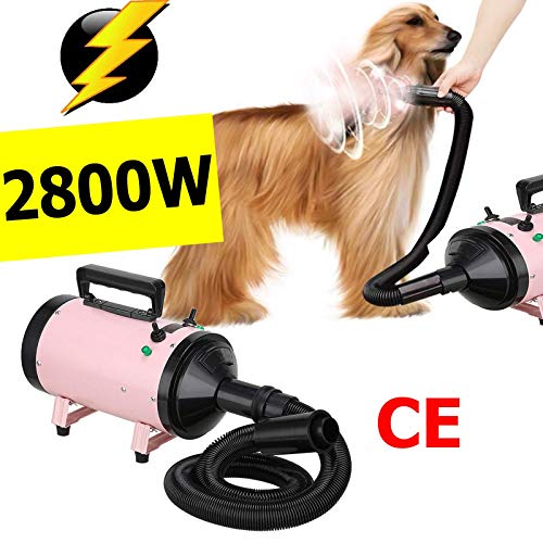 MWPO Asciugatrice ad Aria compressa Air Force Blaster Compact per Auto e Moto con Motore Elettrico Potente asciugatrice per Bici Portatile a velocità variabile da 2800 W per canalizzazione, asciu